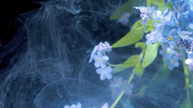 Intimate blue floral macro with ink haze, closeup petal clusters drifting in soft vapor, studio macro capturing fragile texture and shimmering