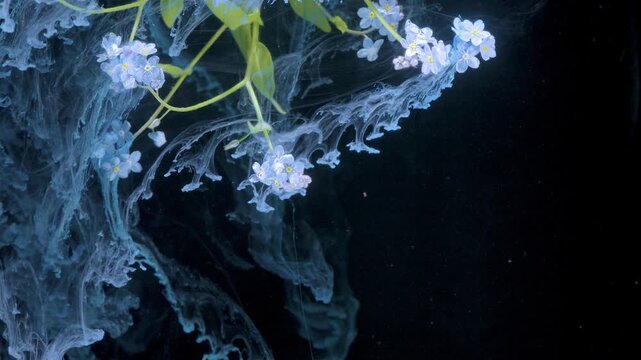 Blue blossom suspended in ink motion, floral petals drifting through vaporous pigment, delicate botanist style composition with dreamy diffusion,