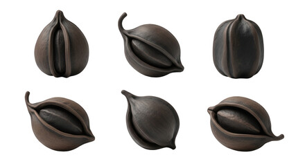 Fototapeta premium detailed studio shot of six brown seed pods with different perspectives isolated on a clean white background botanical or scientific illustration use
