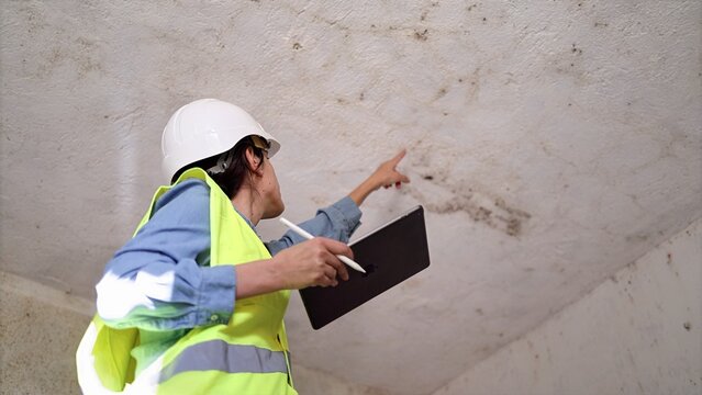 Female inspector wearing safety helmet and vest examining mold growth on ceiling, documenting water damage and moisture issues in old building for renovation project
