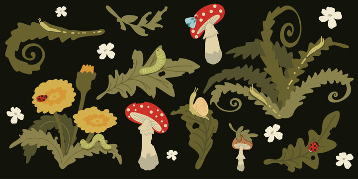 Forest elements set with mushrooms leaves insects and snails flat hand drawn. Cozy woodland collection with natural earthy colors and decorative details. Perfect for stickers, packaging and etc.