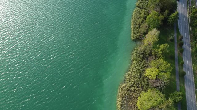 Vogelperspektive ans Ufer des Sepachersees