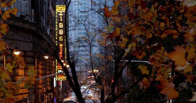 Autumn night view of the Bund in Shanghai and the red leaves of the sycamore trees
