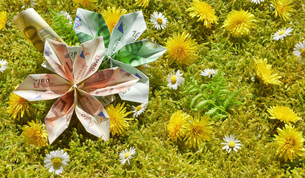 Geld Origami