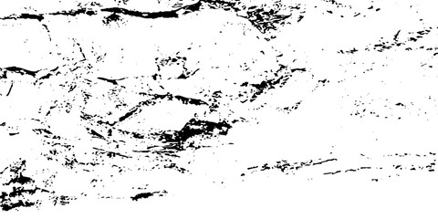 Fototapeta premium Vector modern paint ink and grunge vintage dust texture. Dust overlay Grunge background black and white.
