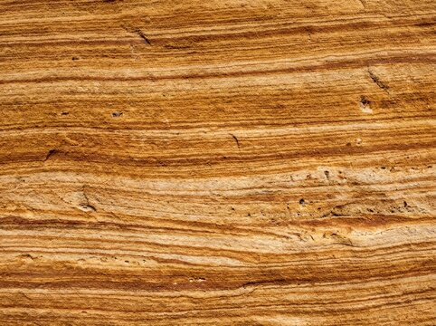 A close-up view of layered sandstone texture showcasing warm amber and topaz tones