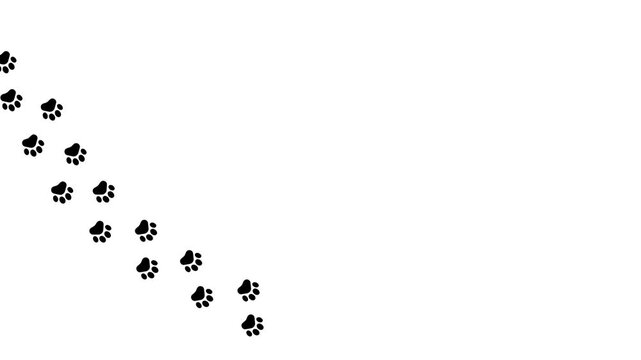 Animal paw prints. Cartoon comic funny paws along the path. Footprints walking animal on a trajectory of movement. 