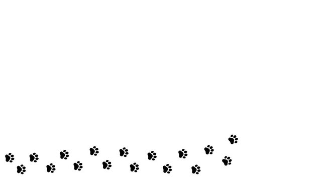 Animal paw prints. Cartoon comic funny paws along the path. Footprints walking animal on a trajectory of movement. 