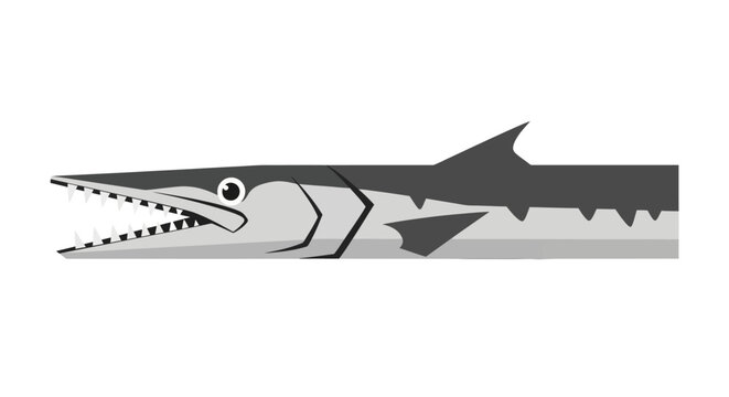 Sawfish Illustration Closeup.