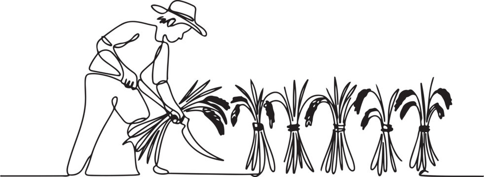 Single one line drawing of young male farmer was harvesting rice and there was also rice that had been tied up. Farming challenge minimal concept. One line draw graphic design vector