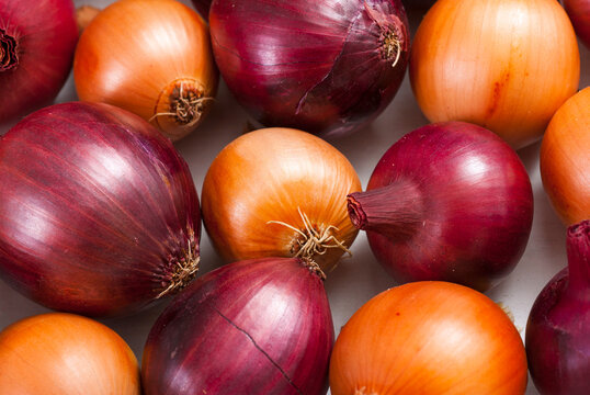 onions on white wood tray, wooden table background