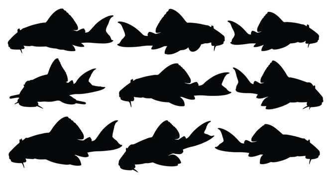 Collection of black pleco fish silhouettes displayed in a grid arrangement