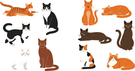 Domestic cat collection with different breeds poses and colors cute pet cartoon vector illustration set isolated on light background © Yevhenii creative