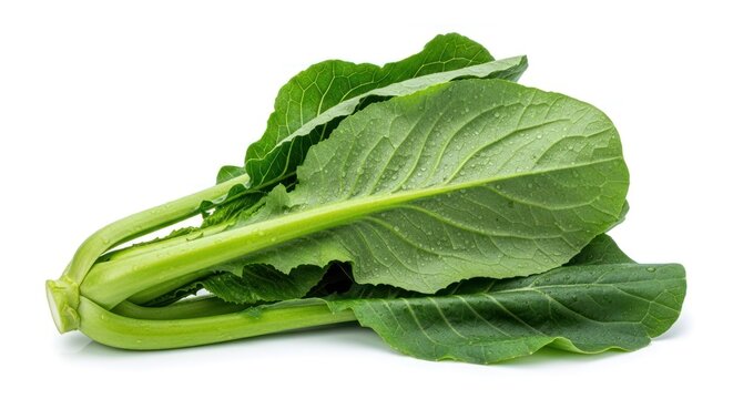 Fresh and Vibrant Chinese Broccoli on White Background.