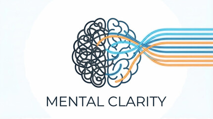 Fototapeta premium A stylized illustration of a brain with tangled and organized thoughts