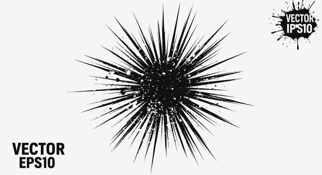 Abstract black and white explosion of thorns resembling a monochromatic firework flower blooming like a dark dandelion against the night sky