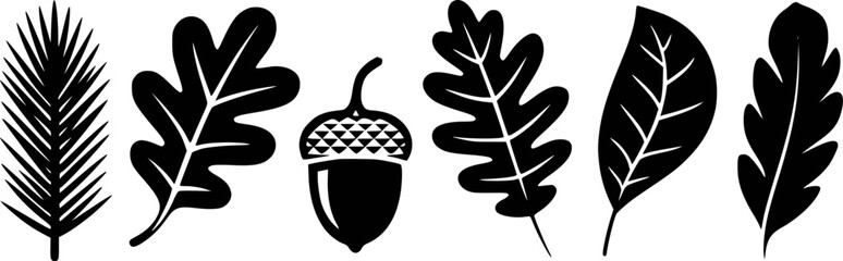 Obraz premium Black silhouette collection of autumn leaves and pine needles white background leaf