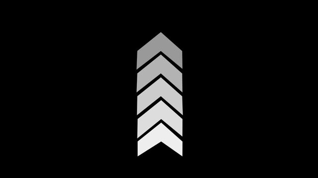 Arrow down and Up direction combo icon animation, Animated Up and down arrow icon pointing, Abstract animation icon 4k motion video.