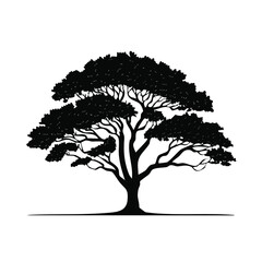 Fototapeta premium Black silhouette of an acacia tree with flat-topped canopy vector illustration providing essential