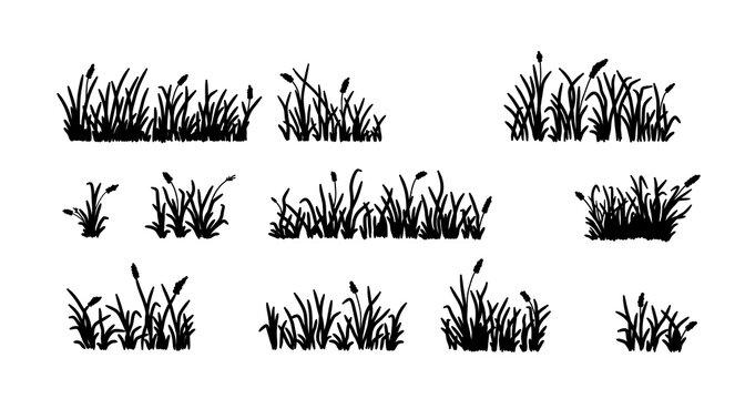Grass doodle vector line set. Hand drawn grass sketch with meadow field lawn blade flower bush crayon chalk texture. Cute cartoon garden pattern scribble nature background. Vector illustration 