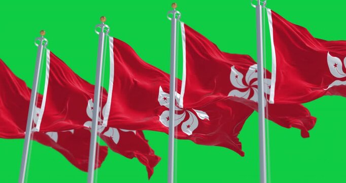 Hong Kong flags waving in the wind isolated on green background