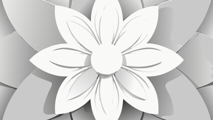 Fototapeta premium white flower on a black background