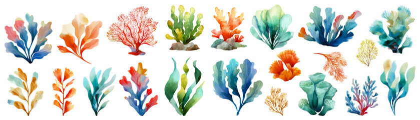 Watercolor collection of diverse marine plants, seaweed, and colorful corals, illustrating ocean life and aquatic flora in a vibrant, artistic set of elements for design © Narin