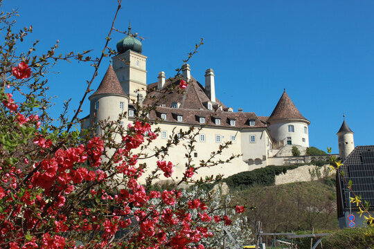 Schloss Sch&ouml;nb&uuml;hel mit Zierquitten