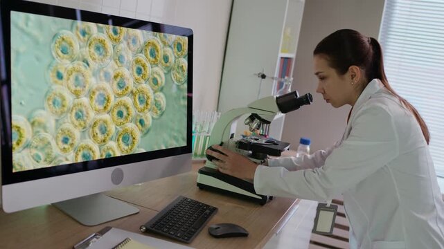 Side view of young female biotech researcher in white coat examining cell samples in microscope and using computer with molecular system screen in modern lab