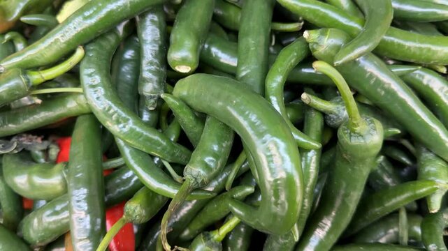 Green chilies and a few red chilies create a vibrant and spicy food background