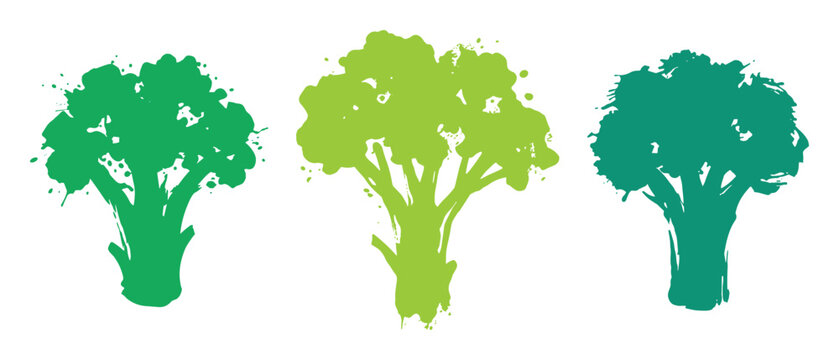 Three broccoli florets, green colors, abstract brush strokes, healthy vegetable vector illustration art