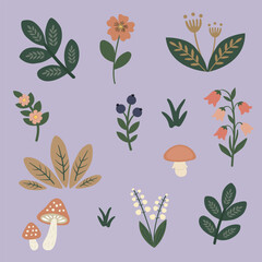Modern folk woodland vector set with leaves, flowers, berries and mushroom in soft pastel palette. Scandinavian doodle style, cozy nature elements for prints, nursery decor, packaging and branding. © Svitana_O