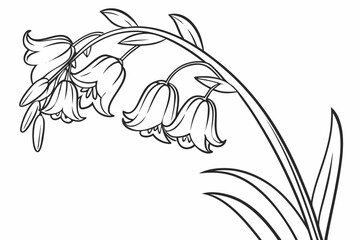 Obraz premium coloring page line art the buttercup flower black vector