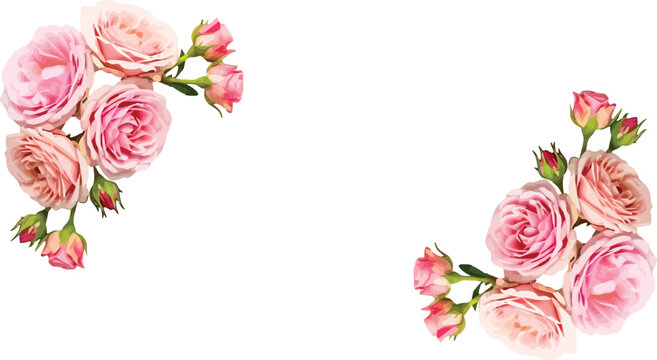 Pink watercolor roses corner border illustration for wedding invitation vector