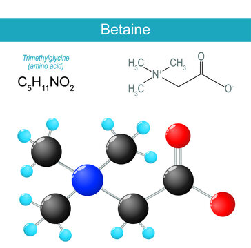 Betaine molecule. Molecular chemical structural formula and model of Trimethylglycine