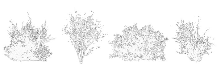 Plakat Set of shrubs and bushes in elevation view for use in architectural drawings