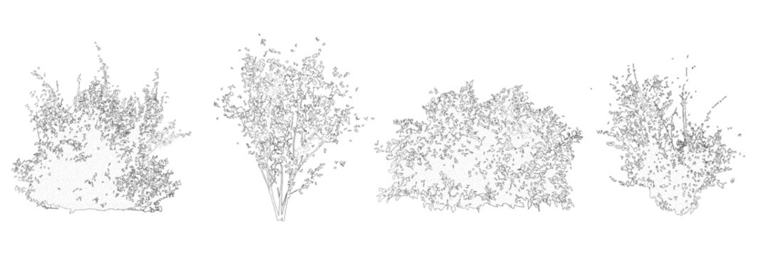 Vector set of shrubs and bushes in elevation view for use in architectural drawings