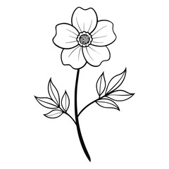 Fototapeta premium vector illustration of a flower