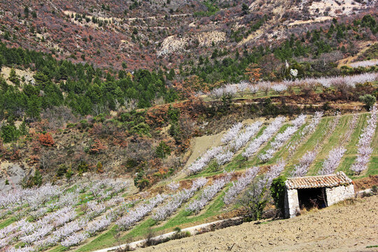 Paysage printanier en moyenne montagne