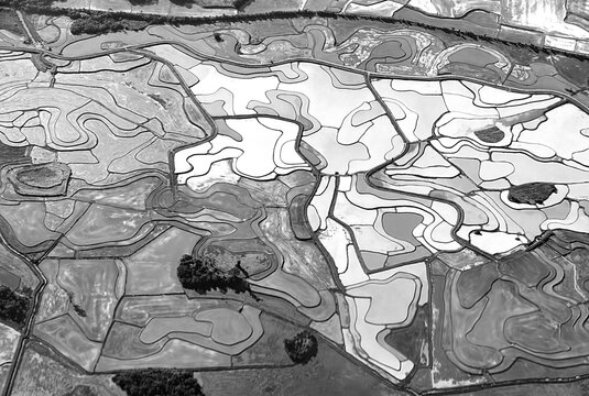 aerial of rural landscape like rice paddies but fields near Porto Alegre, at river Rio Jacu&iacute; near  Porto Batista