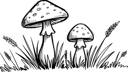 Hand-drawn of spotted mushrooms growing in grass with wheat stalks nature fungus © Mohammad