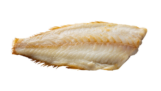 Cooked sole fillet with golden brown edges, isolated on transparent background