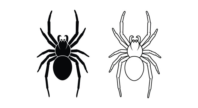 Black Widow Spider Identification Guide: Key Differences Vector