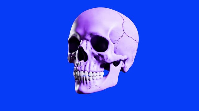 A detailed 3D human skull that continuously shifts and shimmers through a range of vibrant colors, performing a continuous 360-degree rotation. Isolated on a blue screen background for professional ch