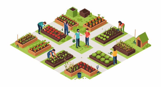 Isometric Community Garden Illustration of People Cultivating and Harvesting Organic Vegetables in Raised Beds