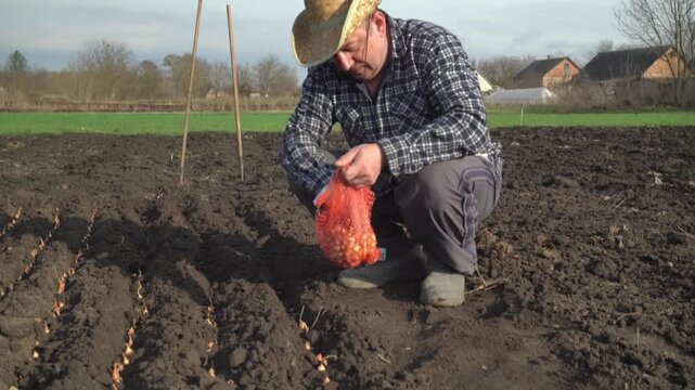Agronomist in straw hat plants seeds onions in garden rows, holding a bag of seeds while kneeling on the soil in a rural outdoor setting
