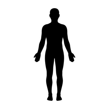 Find human silhouette vector image for anatomy study and body shape reference black and white art