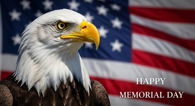 Honoring heroes a patriotic memorial day in usa image with american bald eagle