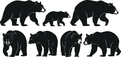 Fototapeta premium Bear Silhouette Collection Featuring Adult and Cub Grizzly Bears in Walking and Standing Poses Wildlife Animal Vector Set for Design.