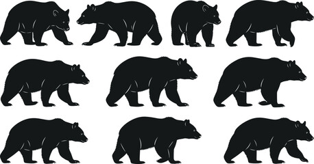 Fototapeta premium Bear Silhouette Set Featuring Walking Grizzly Bear Poses in Side View Minimal Wildlife Animal Vector Collection for Design Use.